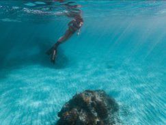 Freediving the waters surrounding Lord Howe Island, NSW Australia. Due to a sustained conservation effort across the island's community & governance, marine ecosystems remain remarkably pristine, preserved & rich with an incredible biodiversity of life.